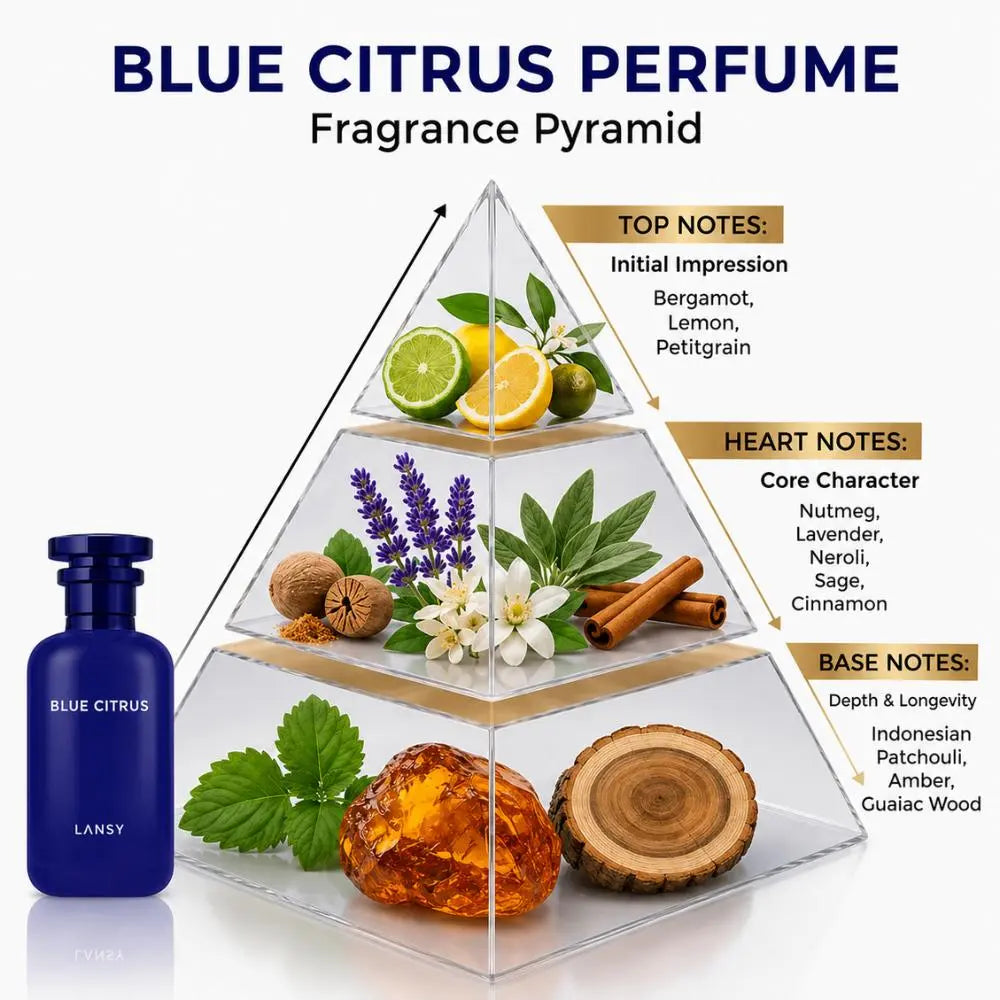 LANSY Blue Citrus perfume fragrance pyramid showing top, heart and base notes.