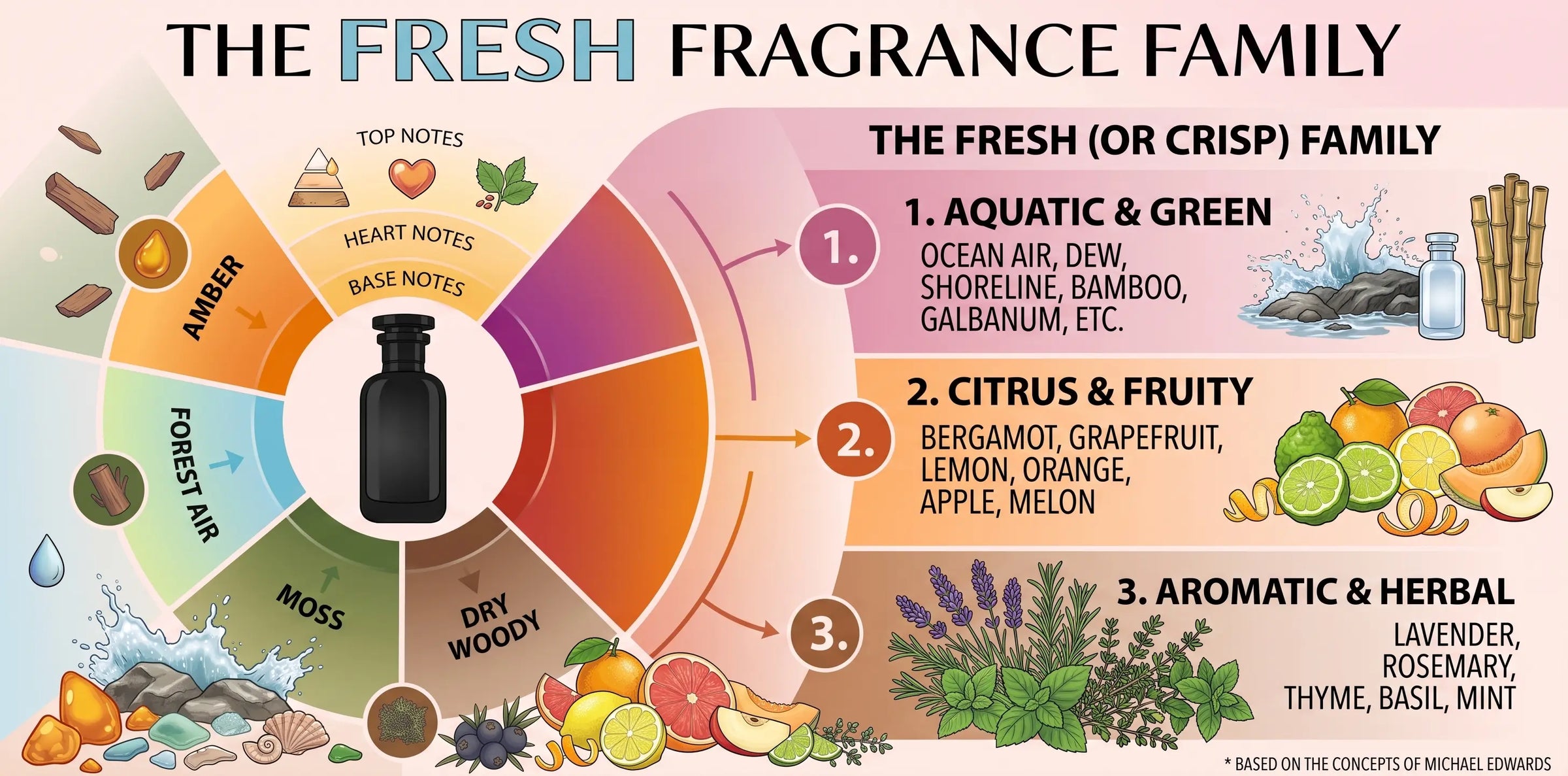 A fragrance wheel infographic titled "The Fresh Fragrance Family", breaking down aquatic, citrus, and aromatic scent notes with colorful illustrations.
