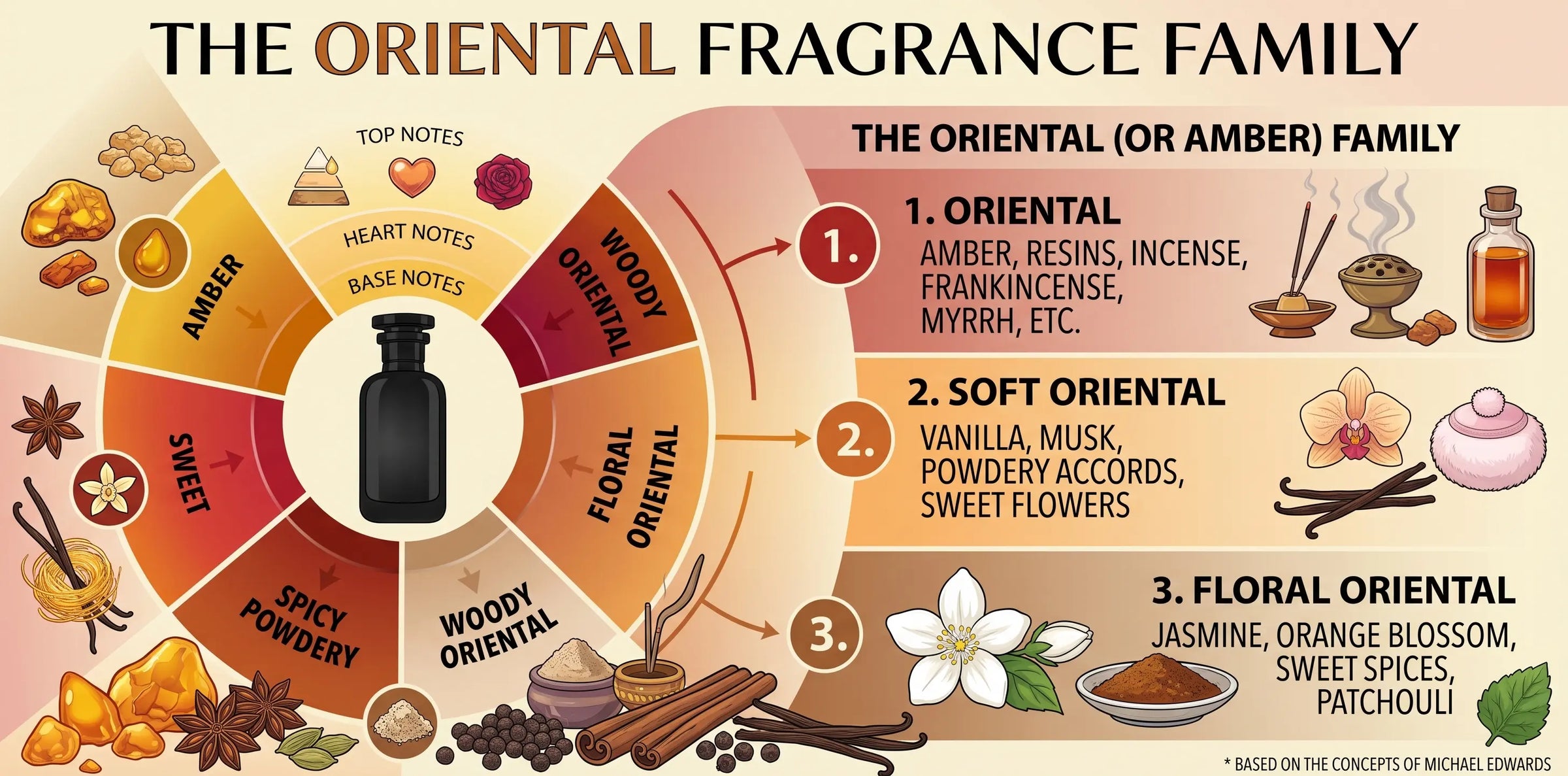 Visual guide to the Oriental fragrance family & its subfamilies (Soft, Woody, Traditional), featuring key notes based on Michael Edwards' concepts.