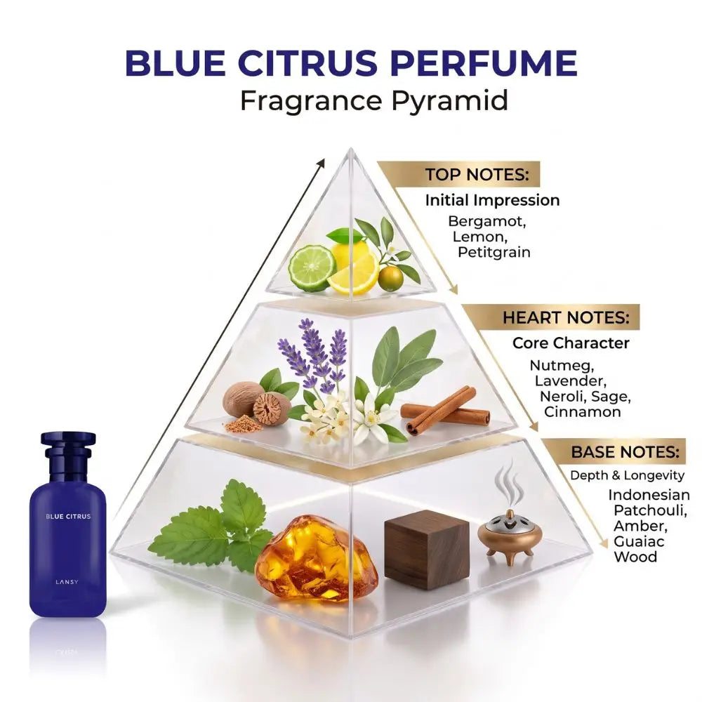 Blue Citrus Perfume fragrance pyramid diagram displaying the top, heart, and base olfactory notes with ingredients.