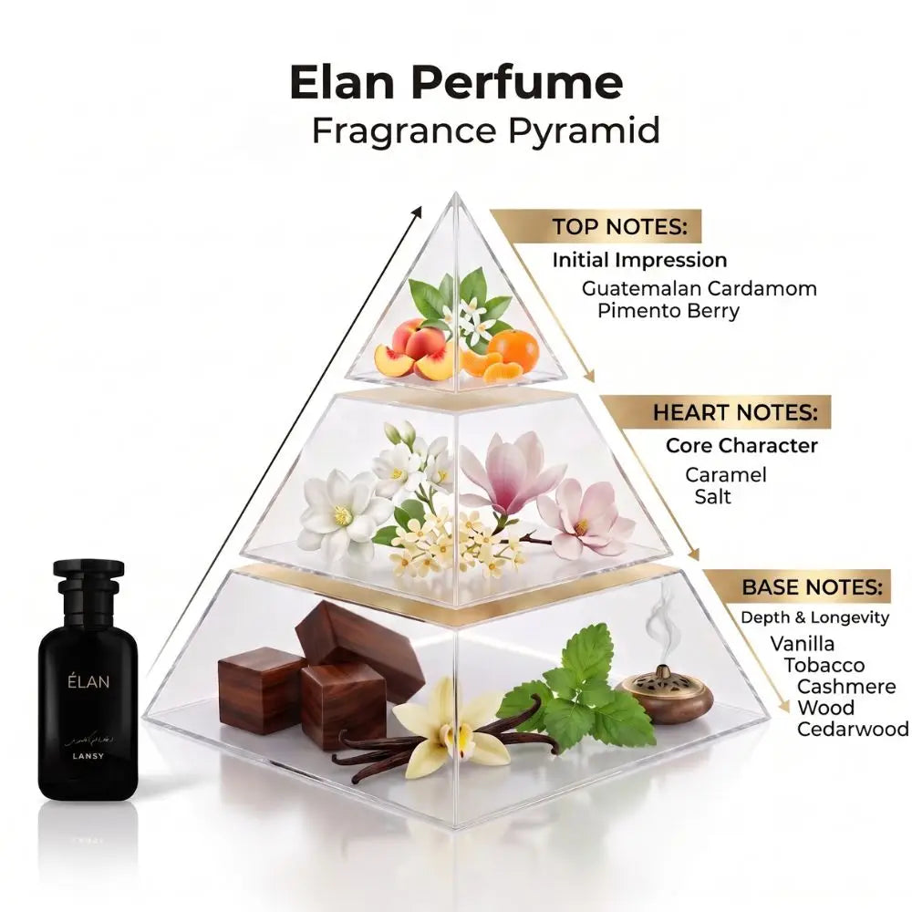 Elan Perfume Fragrance Pyramid diagram showing three tiers of notes with illustrated botanical and spice elements, alongside a black perfume bottle labeled ELAN on a white background.