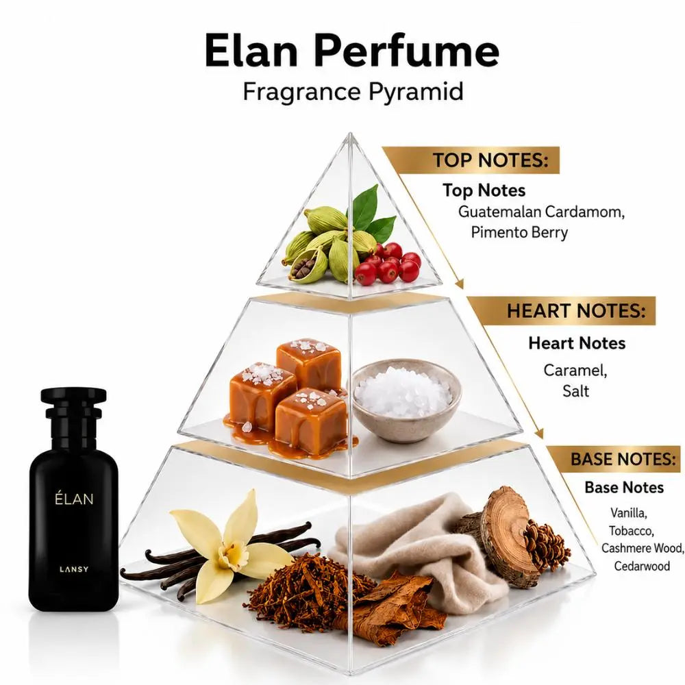 Elan Perfume fragrance pyramid diagram showing a clear tiered pyramid with illustrated and photographed ingredients for top, heart, and base notes, plus a black perfume bottle labeled “ÉLAN” on a white background.