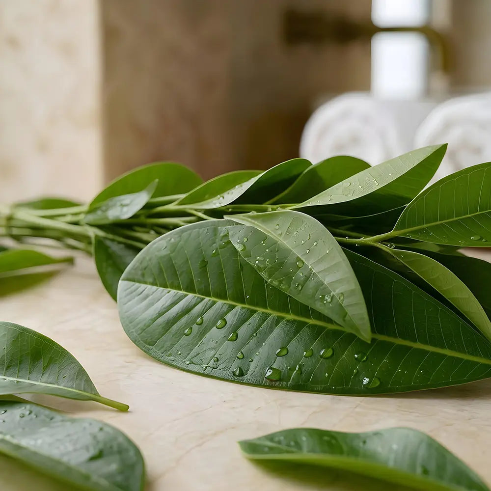 Fresh green leaves with water droplets on a light beige background.