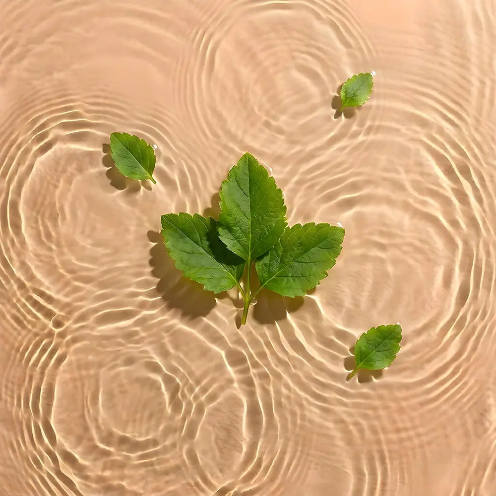Green leaves on water with ripples