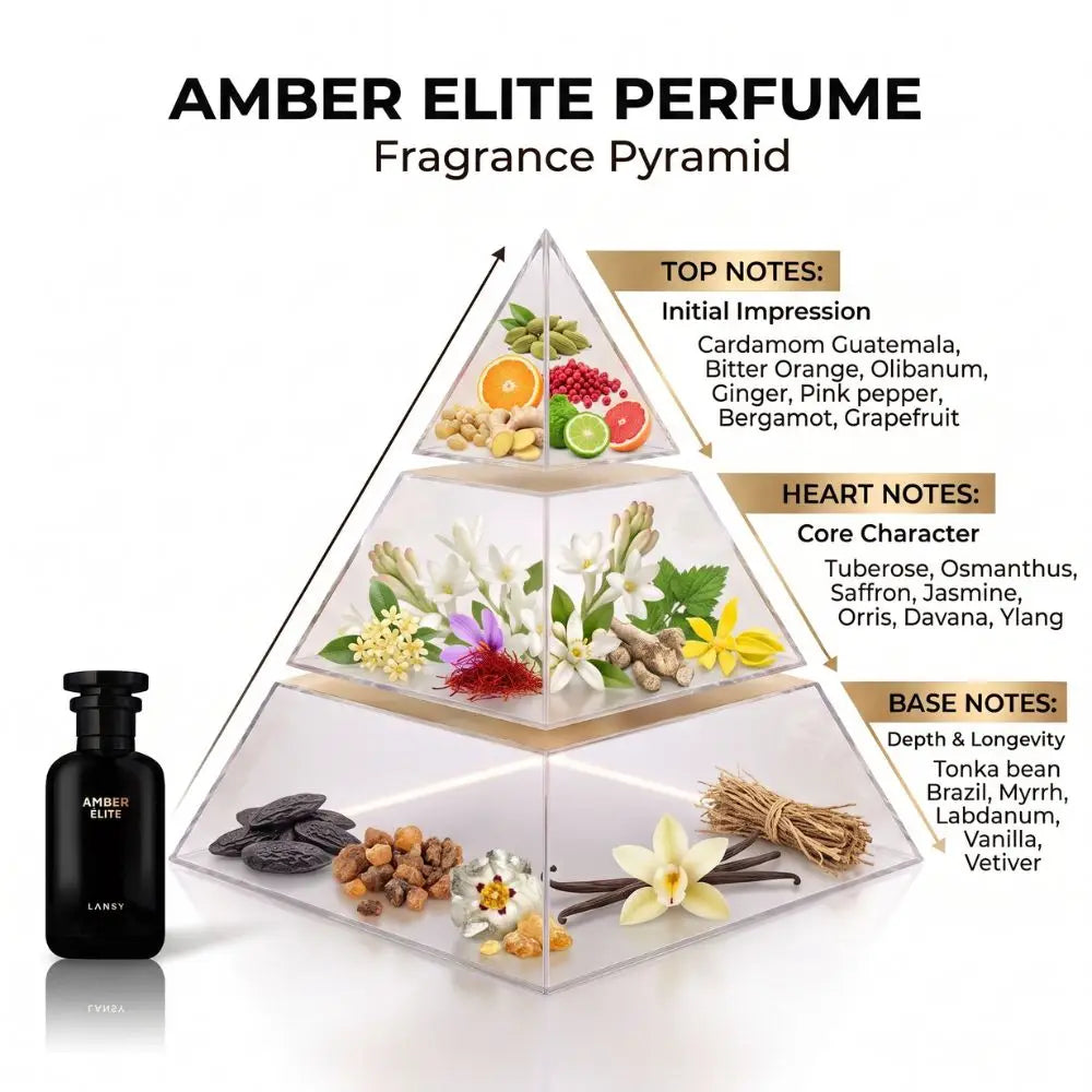 LANSY Amber Elite perfume fragrance pyramid showing top, heart and base notes.