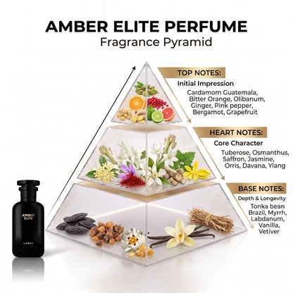 LANSY Amber Elite perfume fragrance pyramid showing top, heart and base notes.