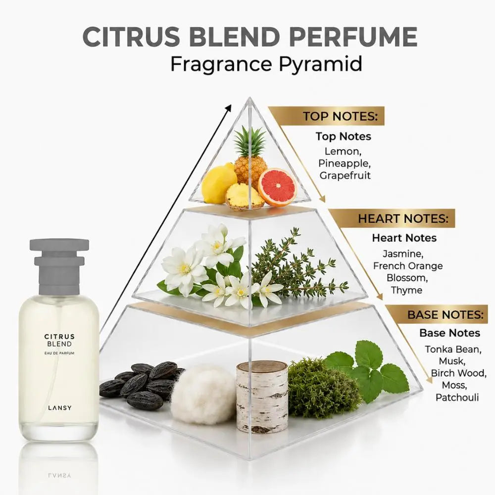 LANSY Citrus Blend perfume fragrance pyramid showing top, heart and base notes.