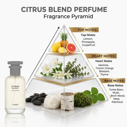 LANSY Citrus Blend perfume fragrance pyramid showing top, heart and base notes.