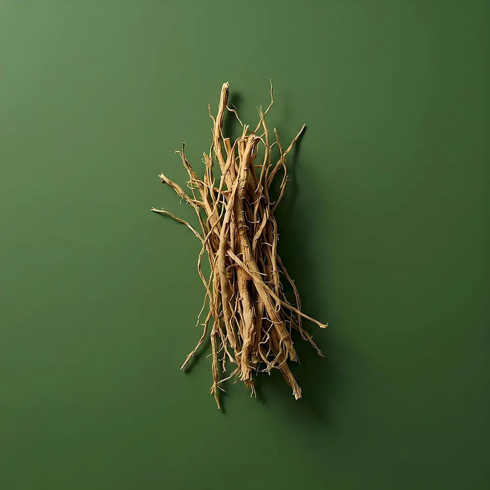 A bundle of dried vetiver roots centered on a solid green background.