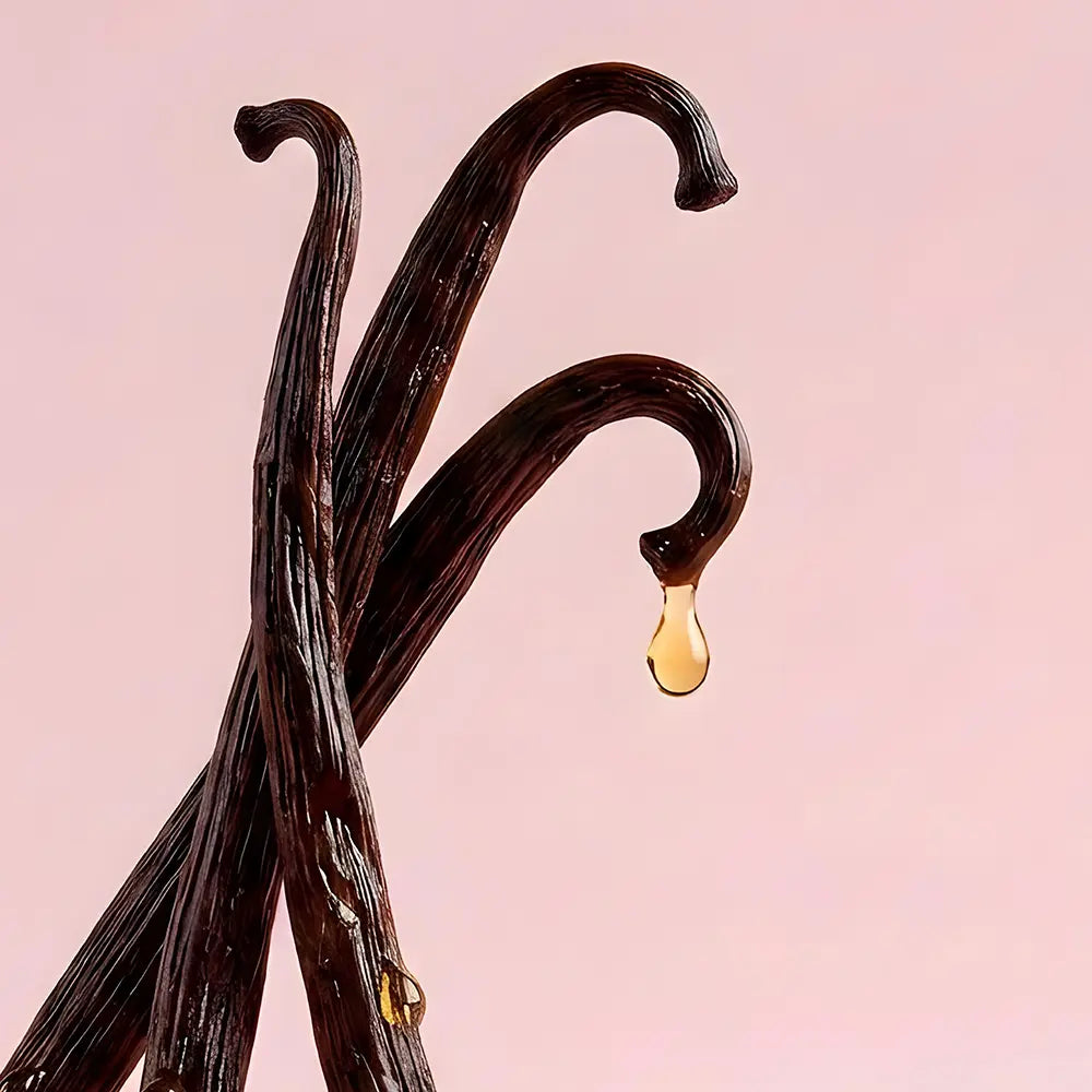 Vanilla beans with a drop of vanilla extract on a pink background