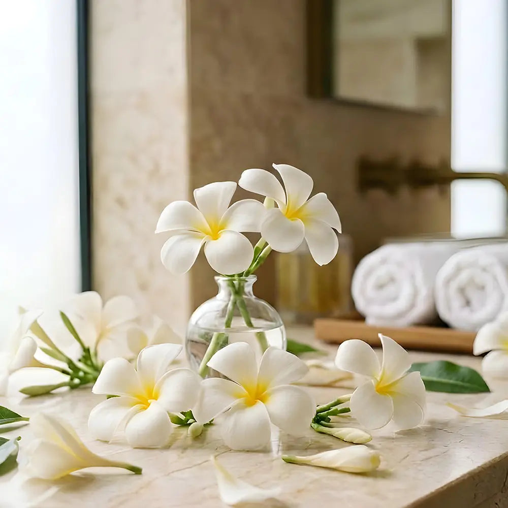White plumeria flowers with yellow centers in a glass vase.